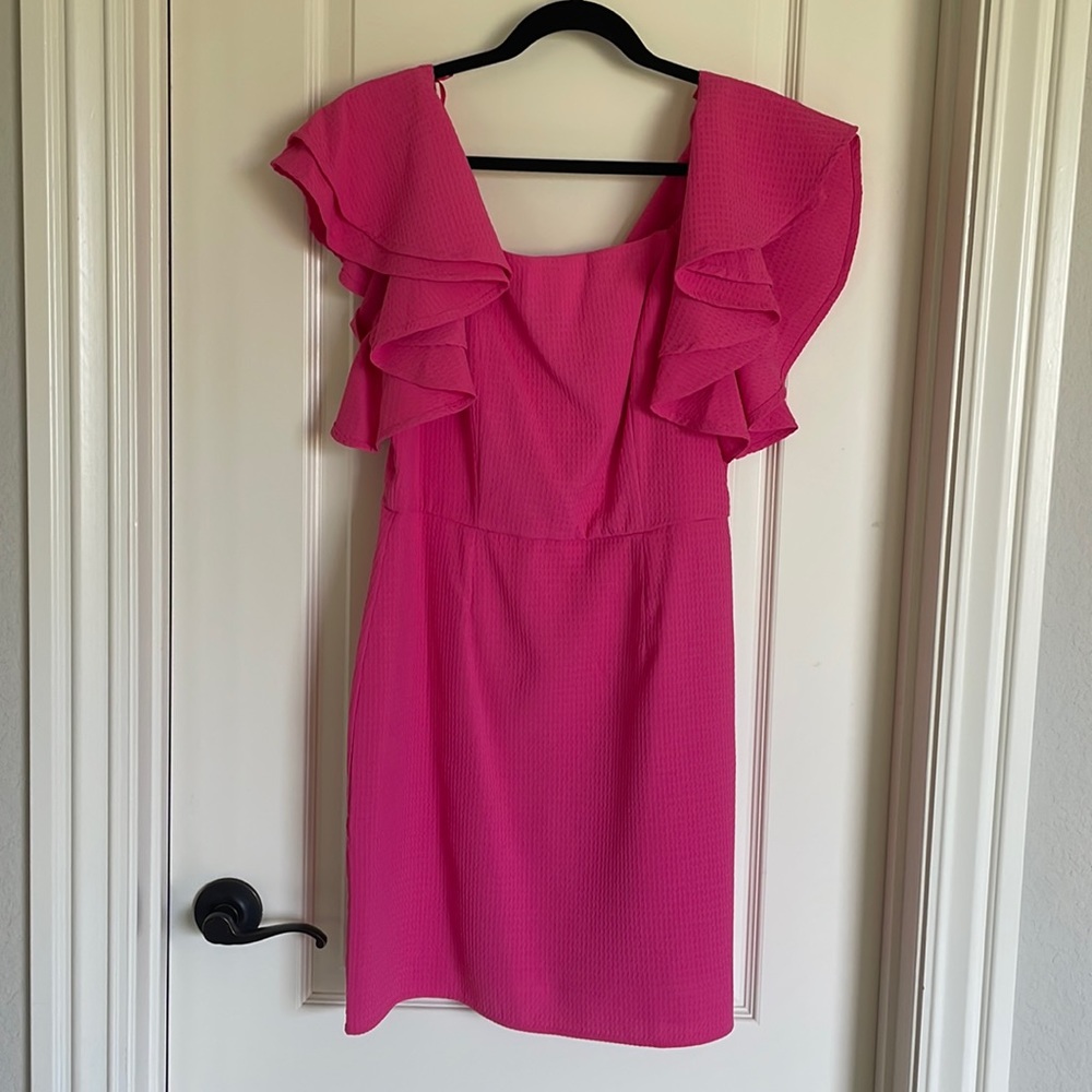 Pink Through Everything Ruffle Dress